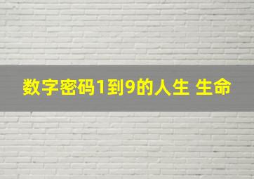 数字密码1到9的人生 生命